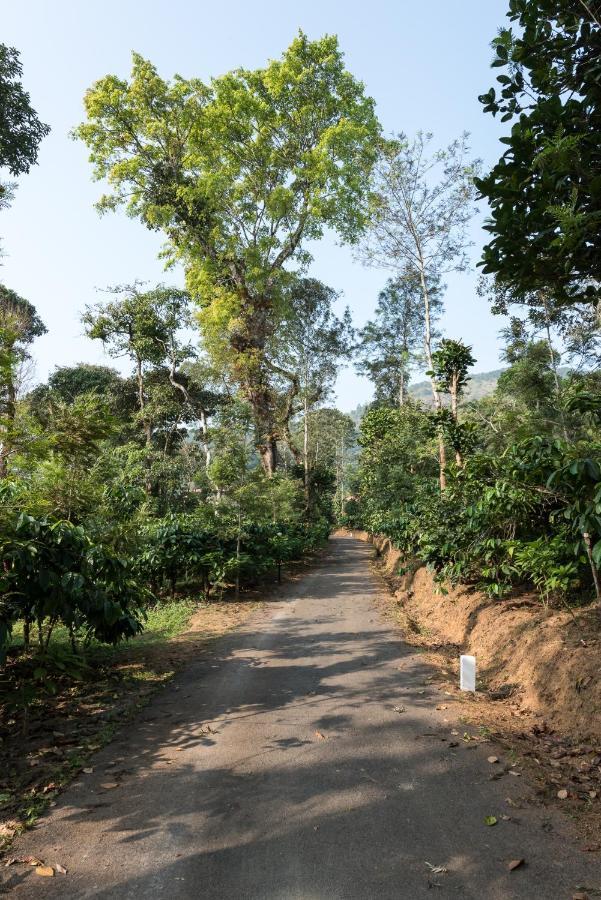 Magnolia Estates & Resorts Virajpet Exterior foto