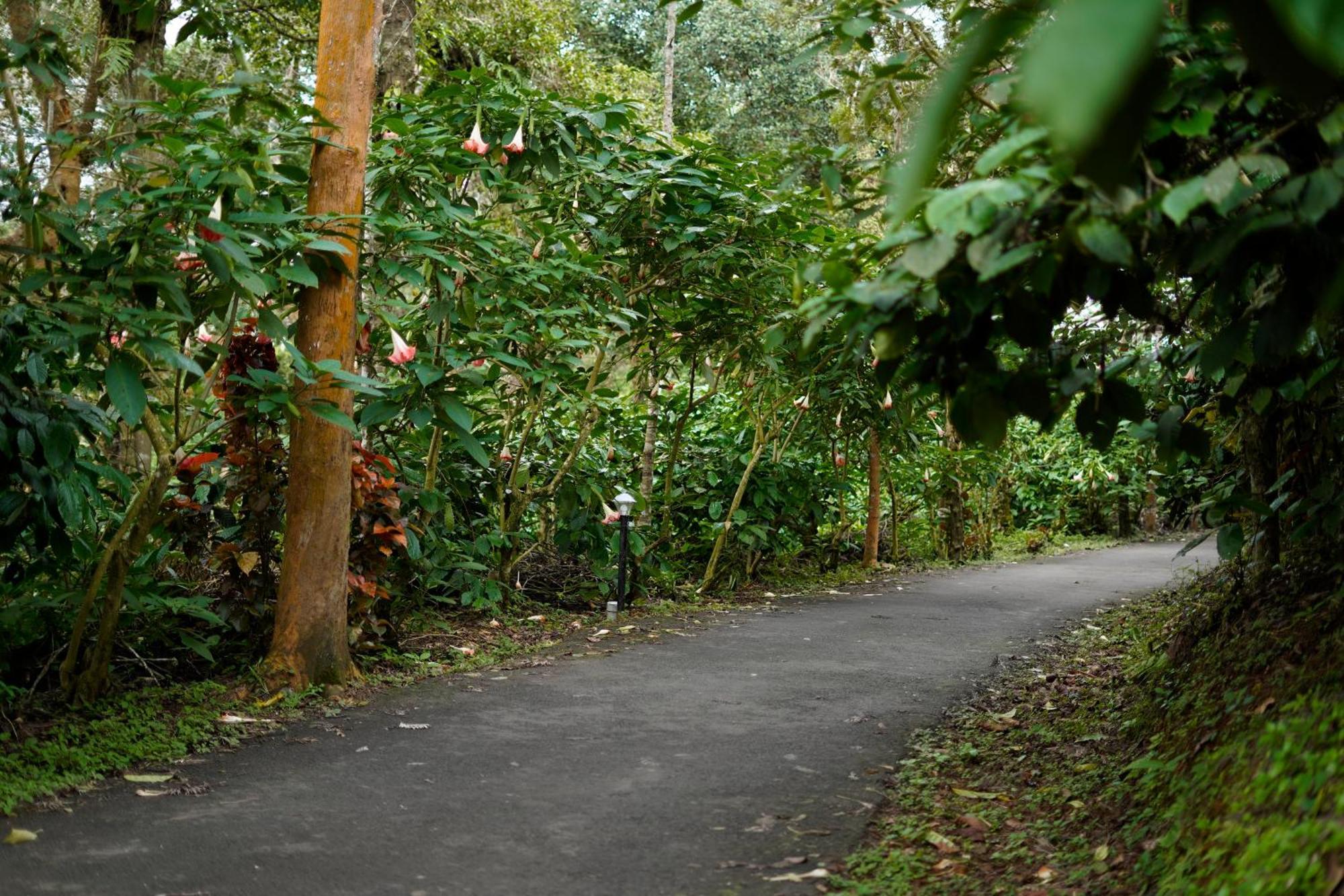 Magnolia Estates & Resorts Virajpet Exterior foto