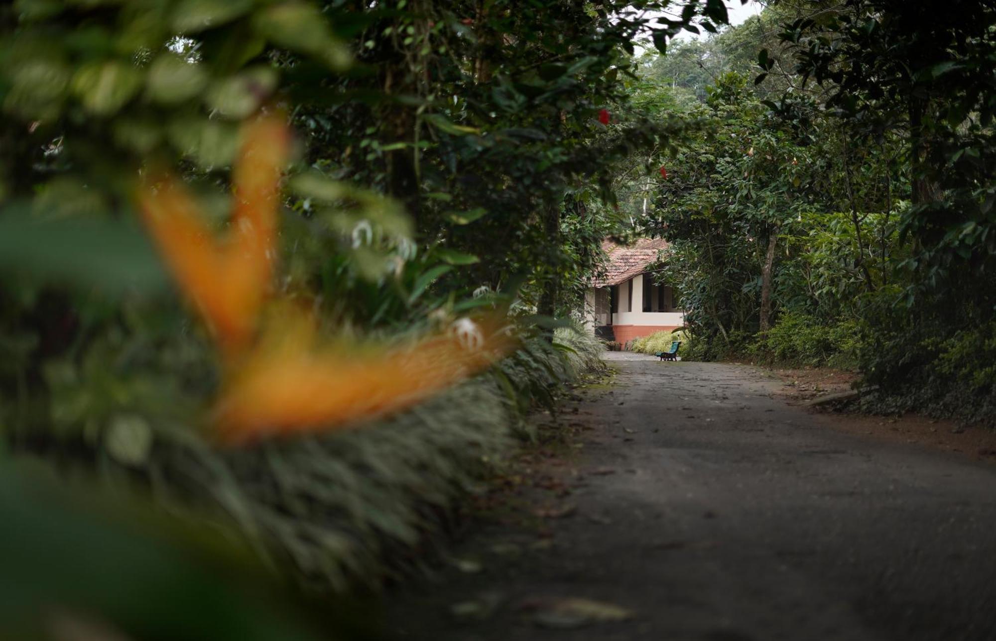 Magnolia Estates & Resorts Virajpet Exterior foto